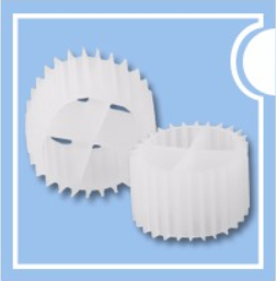 1610690503(1).png